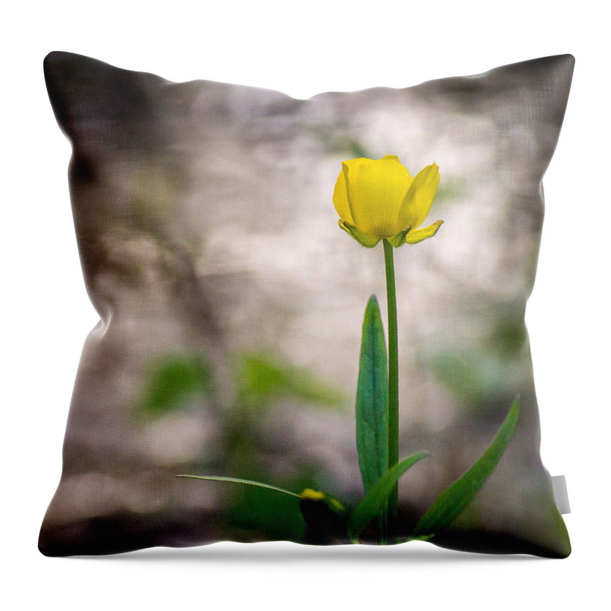 Wildflower Throw Pillow featuring the photograph Simple Spring by Bill Pevlor