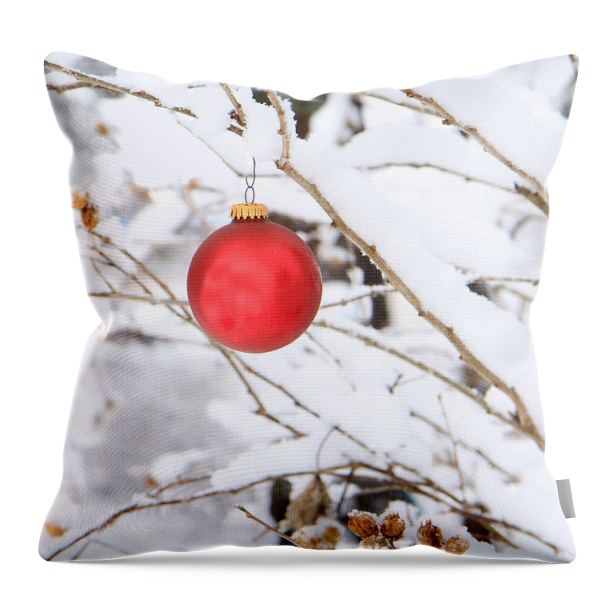 Christmas Throw Pillow featuring the photograph Wintertime Accent by Geoff Crego