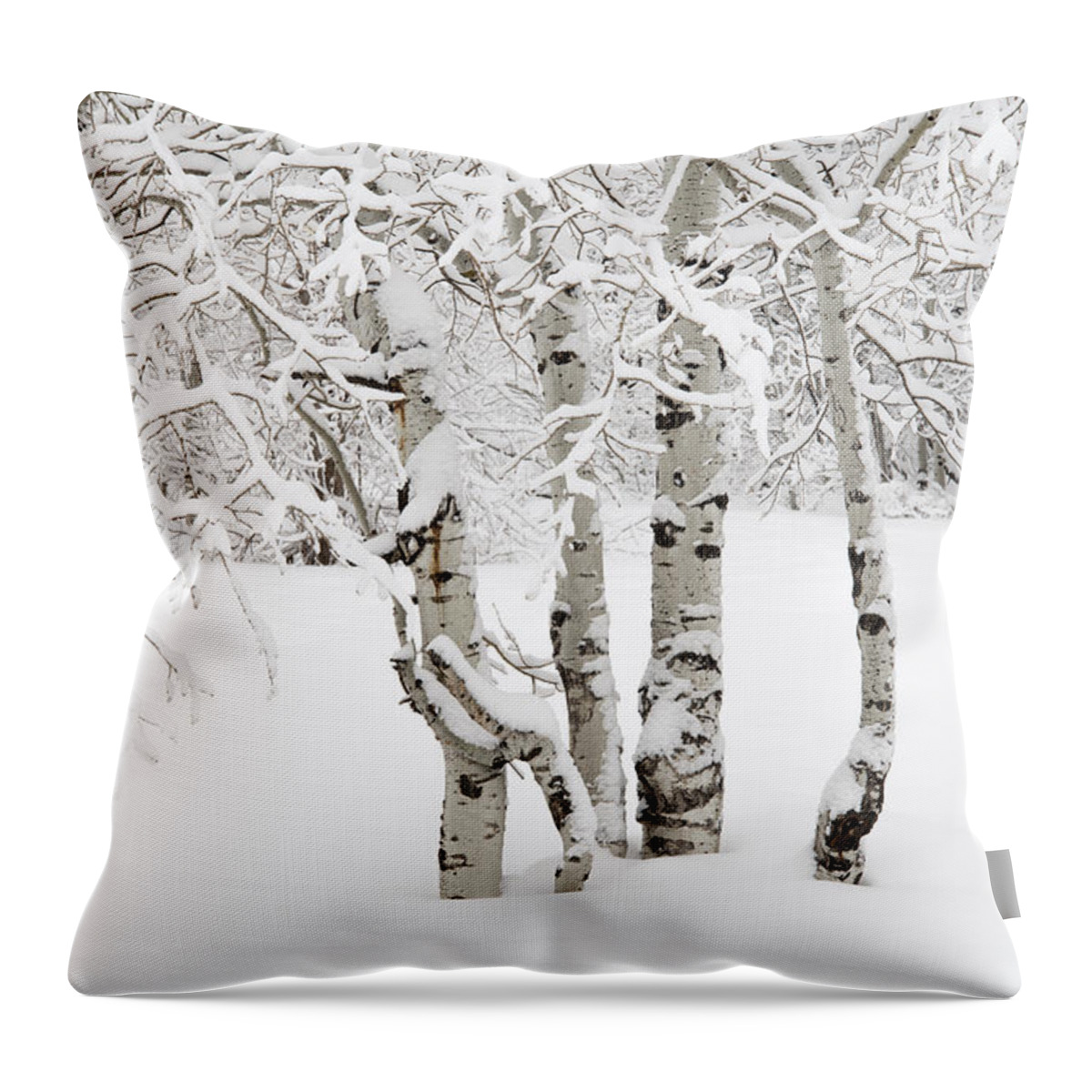 Utah Throw Pillow featuring the photograph Simplicity by Dustin LeFevre