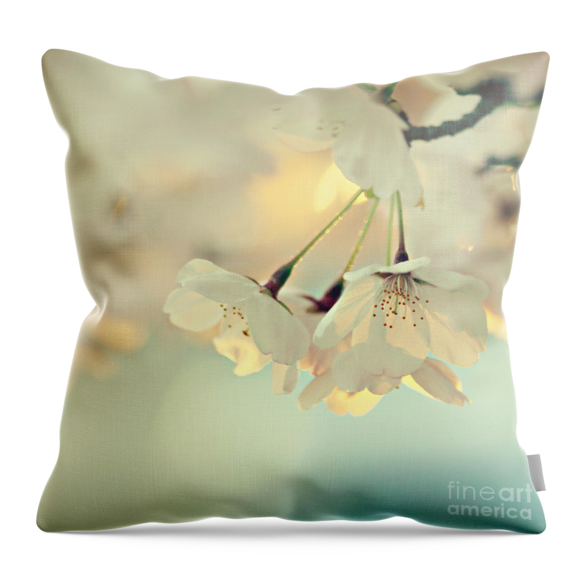Flower Throw Pillow featuring the photograph Simplicity by Sylvia Cook