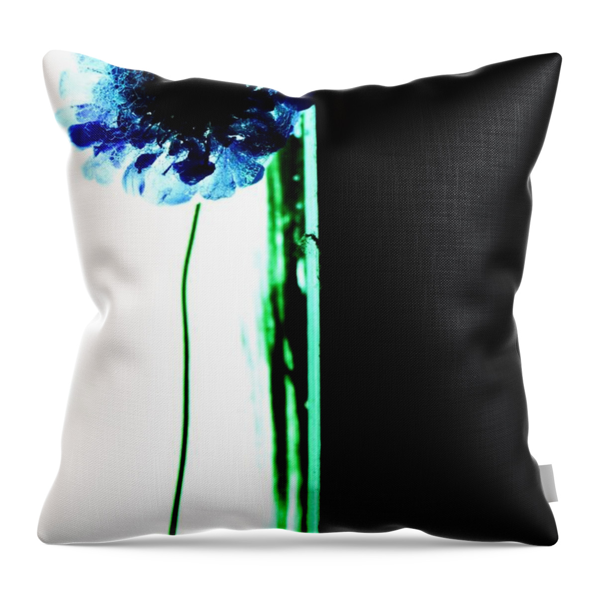Flowers Blue Windows Still Life Plants Green Throw Pillow featuring the photograph Simply by Jessica S