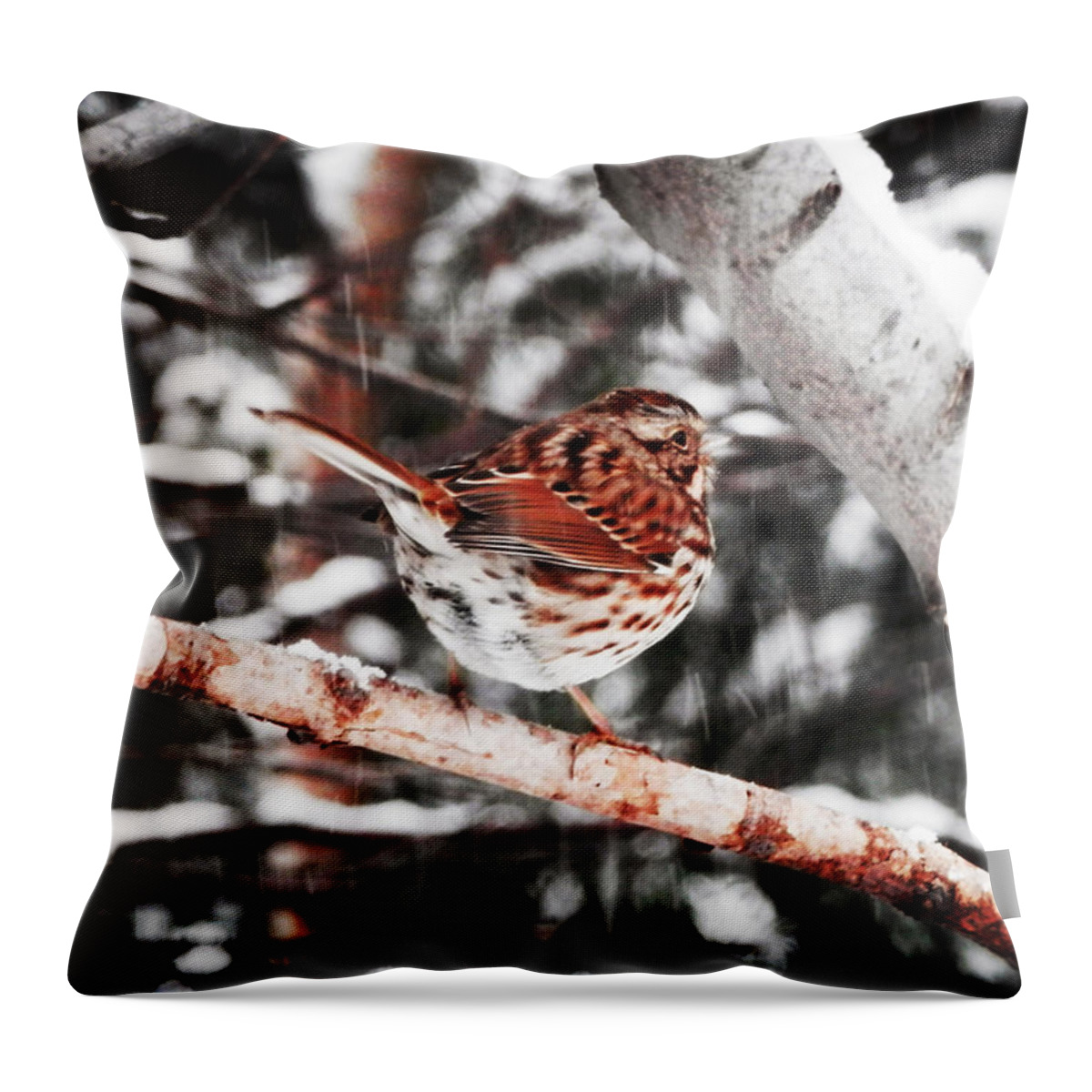 Song Sparrow Throw Pillow featuring the photograph Singing In The Snowfall by Zinvolle Art