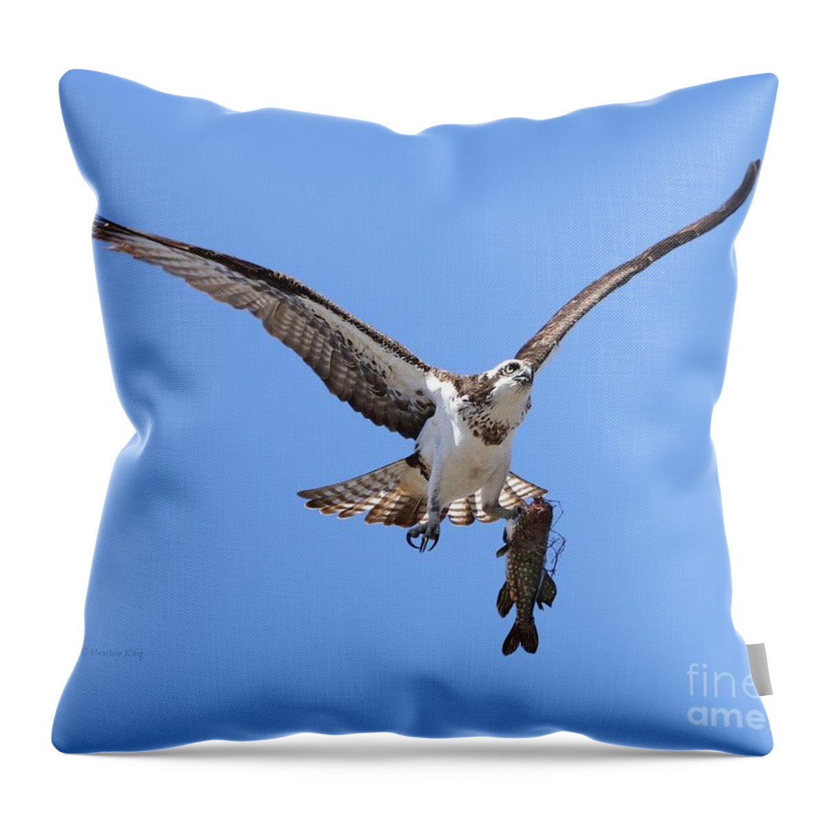 Bird Throw Pillow featuring the photograph Single handed by Heather King