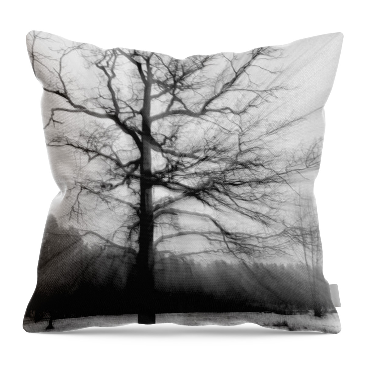 Tree Throw Pillow featuring the photograph Single leafless tree in winter forest by Iryna Liveoak