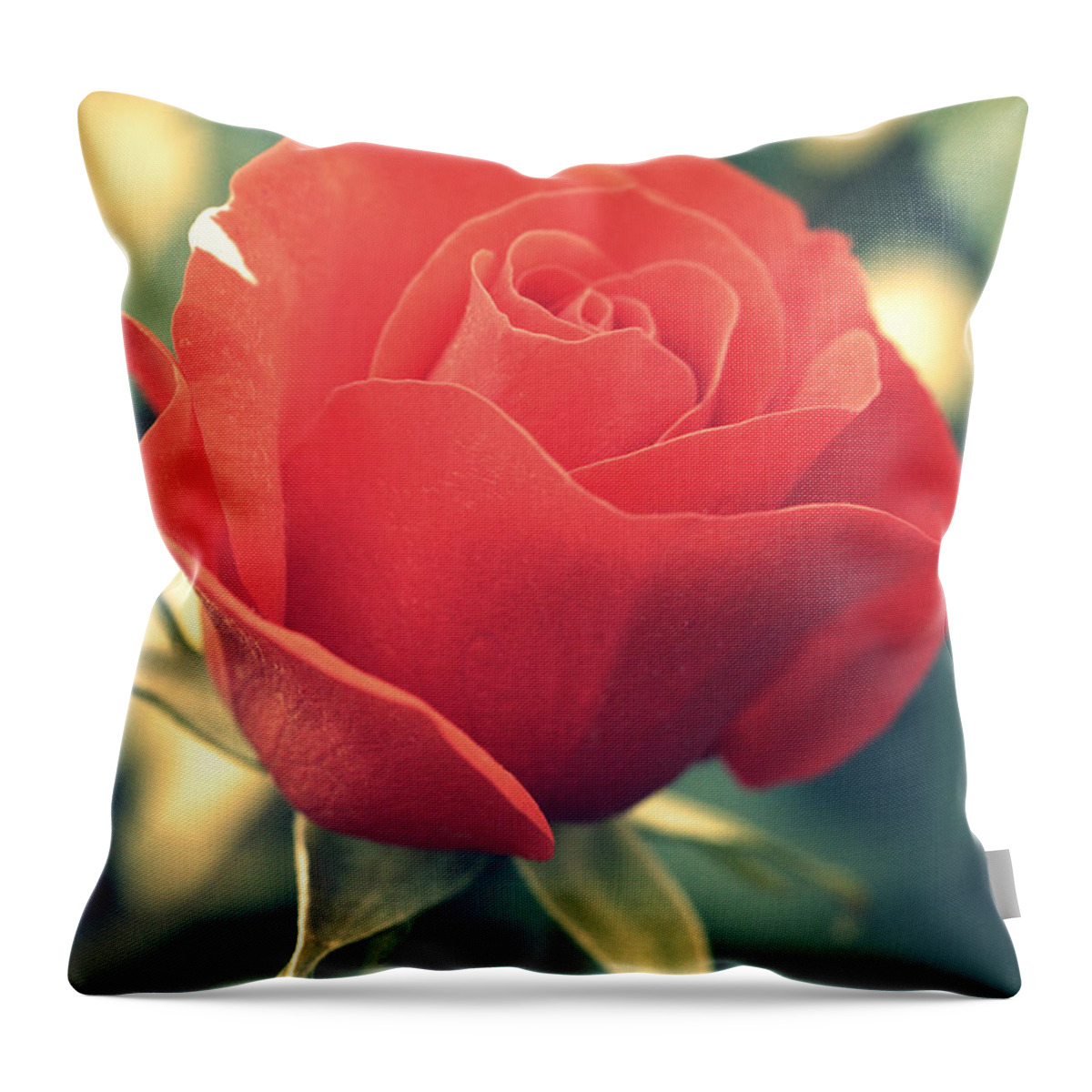 Gift Throw Pillow featuring the photograph Single red Rose by Amanda Mohler