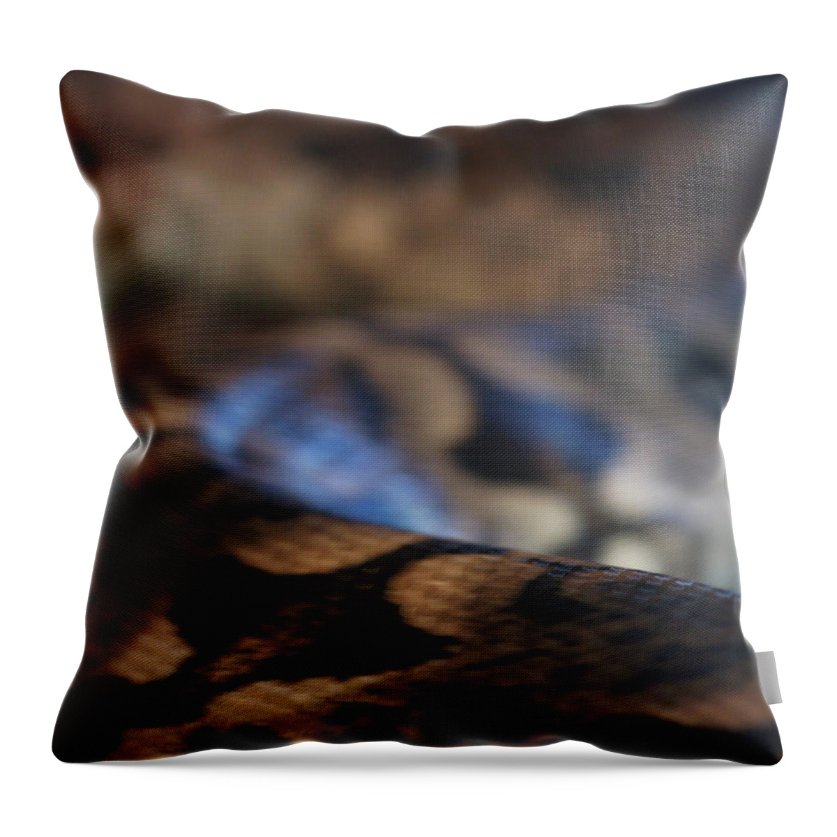 Snake Throw Pillow featuring the photograph Sinti Hilha by Linda Shafer