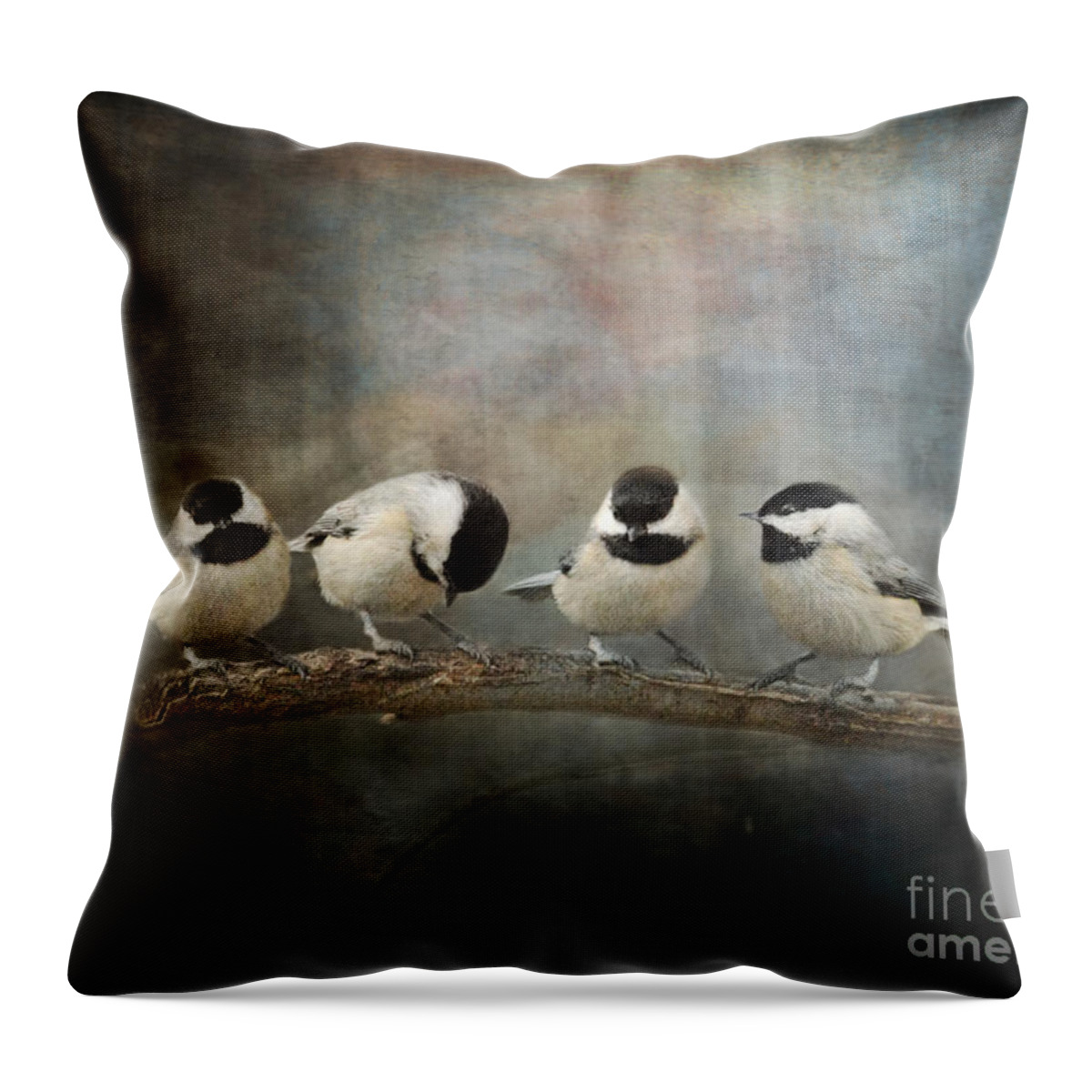 Black Capped Chickadee Throw Pillow featuring the photograph Sisterhood by Jai Johnson