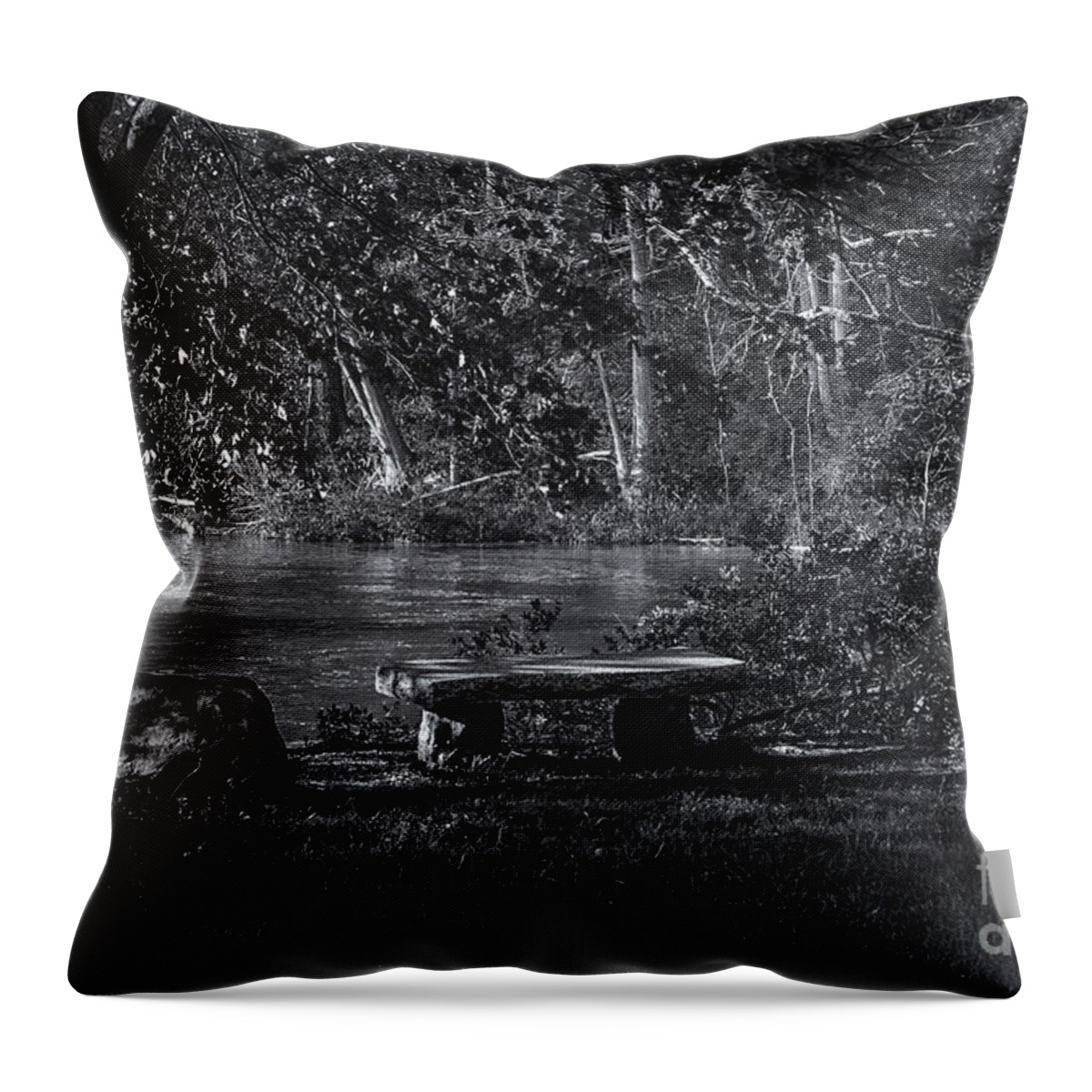 Maine Throw Pillow featuring the photograph Sit and Ponder by Mark Myhaver
