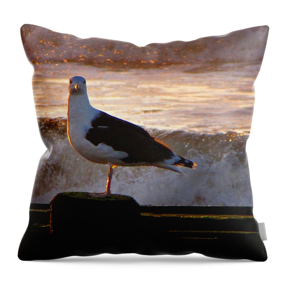 Beach Throw Pillow featuring the photograph Sittin On The Dock Of The Bay by David Dehner
