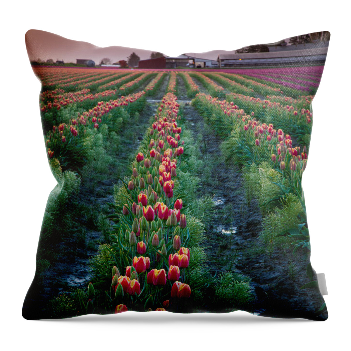 America Throw Pillow featuring the photograph Skagit Valley Magic by Inge Johnsson