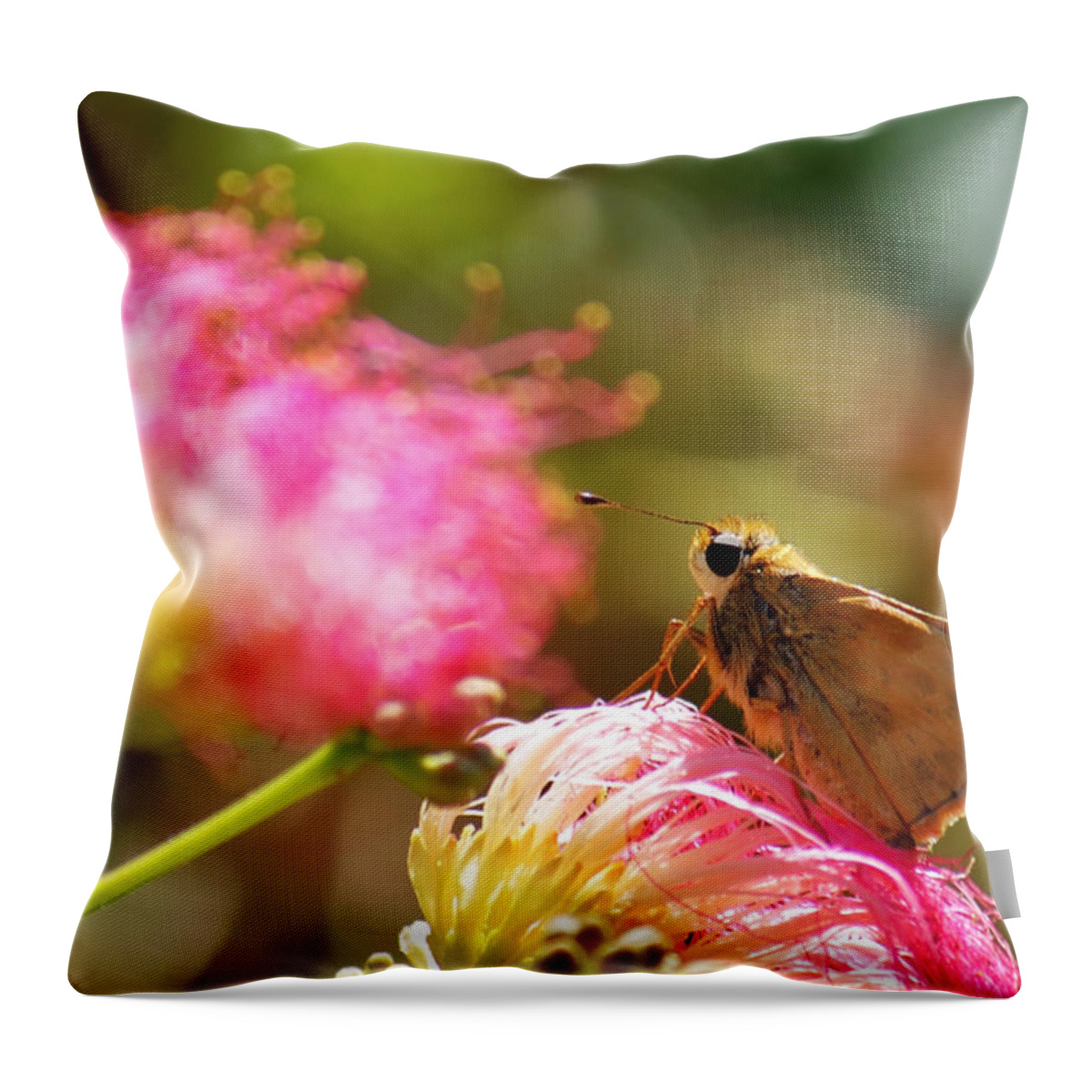 Macro Throw Pillow featuring the photograph Skipper Butterfly on Mimosa Flower by Jason Politte