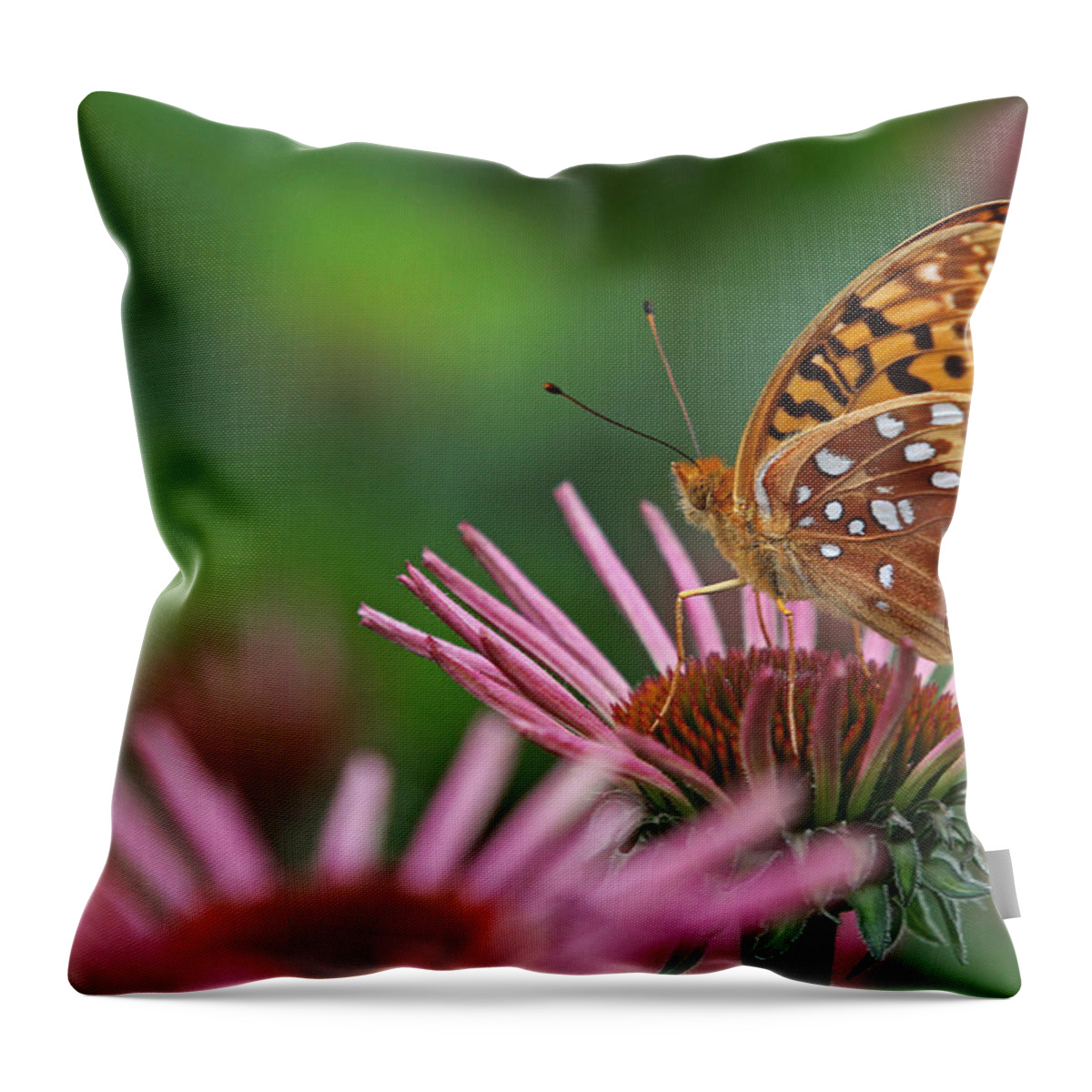 Butterfly Throw Pillow featuring the photograph Skipper on Coneflower by Juergen Roth