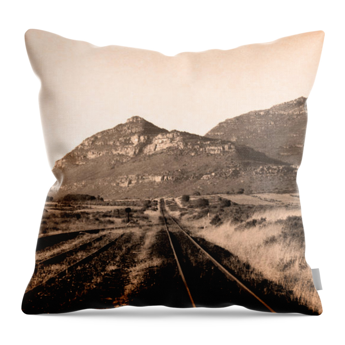 Desert Throw Pillow featuring the digital art Skurfkop Karoo South Africa by Vincent Franco
