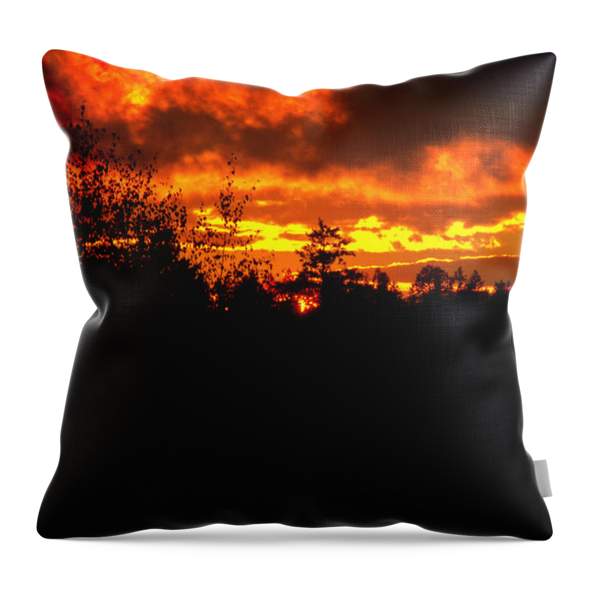 Trees Throw Pillow featuring the photograph Sky A Flame by Tikvah's Hope