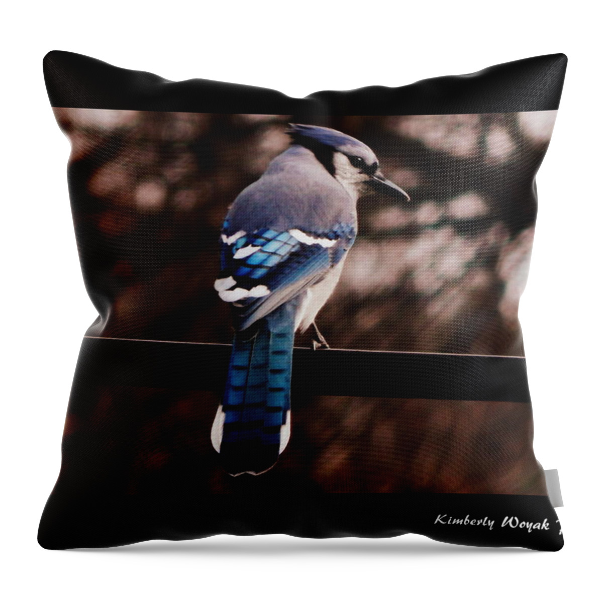 Blue Jay Throw Pillow featuring the photograph Sky Blue Wings by Kimberly Woyak