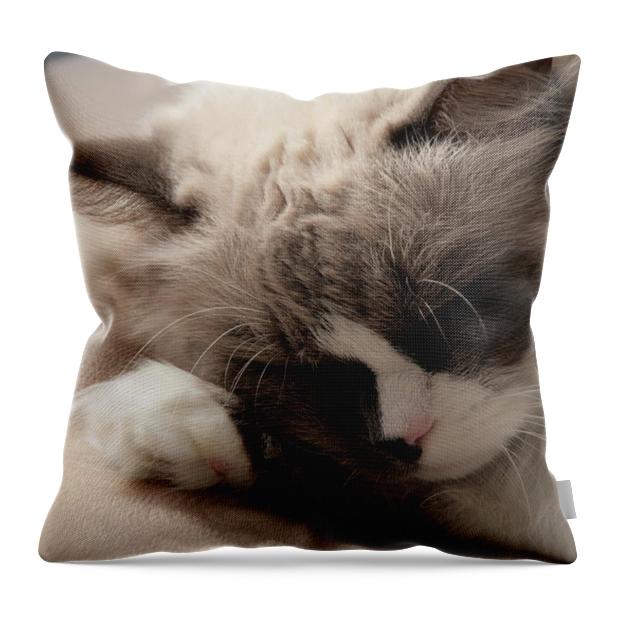 Animal Throw Pillow featuring the photograph Sleeping cat 001 by Mu Mt