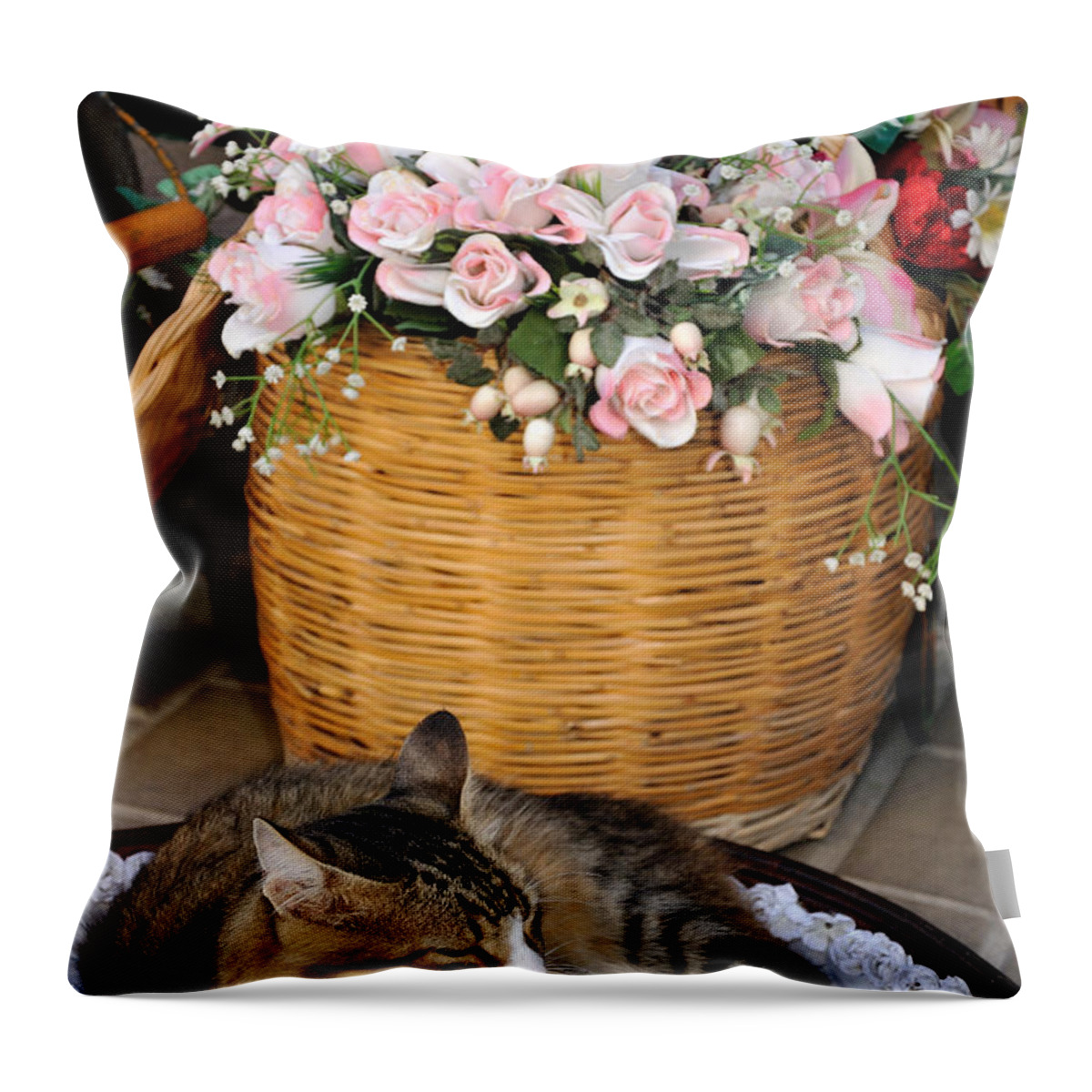 Lesvos; Lesbos; Mytilini; Mitilini; Mytilene; City; Town; Cat Throw Pillow featuring the photograph Sleeping cat at flower shop by George Atsametakis