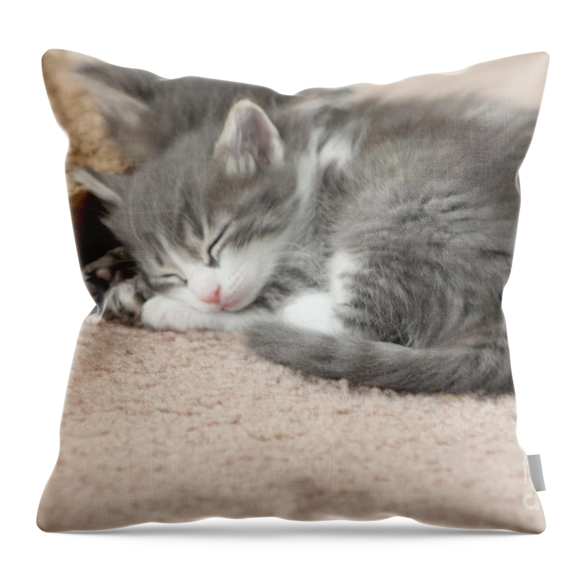Cat Throw Pillow featuring the photograph Sleeping Kitten by Michelle Powell