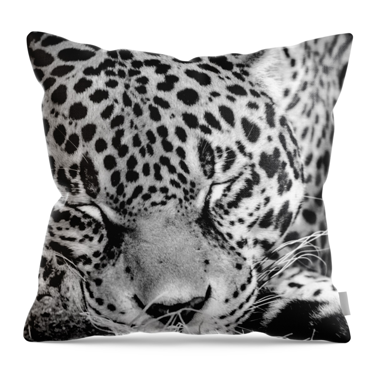 Leopard Throw Pillow featuring the photograph Sleeping by Wild Fotos