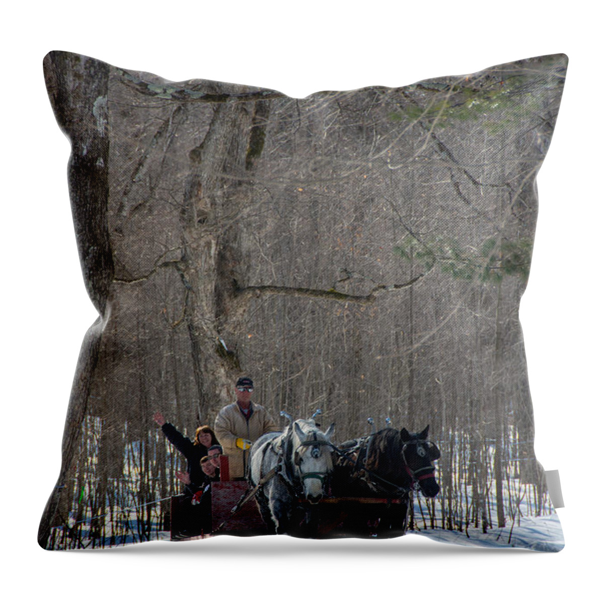 Sugar Bush Throw Pillow featuring the photograph Sleigh Ride through the Maples by Cheryl Baxter