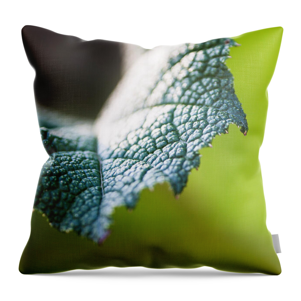 Botanical Throw Pillow featuring the photograph Slice of Leaf by John Wadleigh