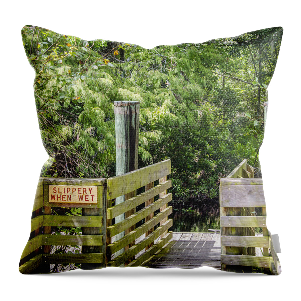 Boat Dock Throw Pillow featuring the photograph Slippery When Wet by Carolyn Marshall