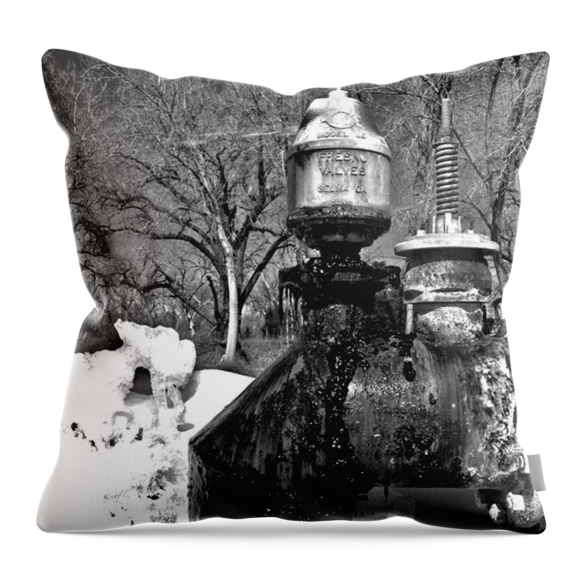 Sludge Throw Pillow featuring the photograph Sludge by Shane Bechler