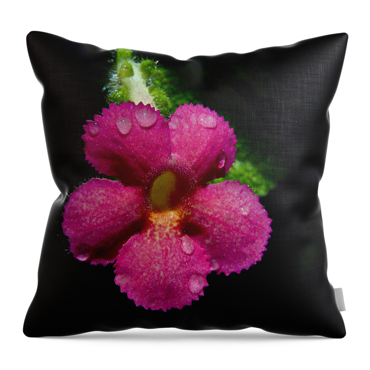 Pink Flower Throw Pillow featuring the photograph Small Beauty by Jocelyn Kahawai