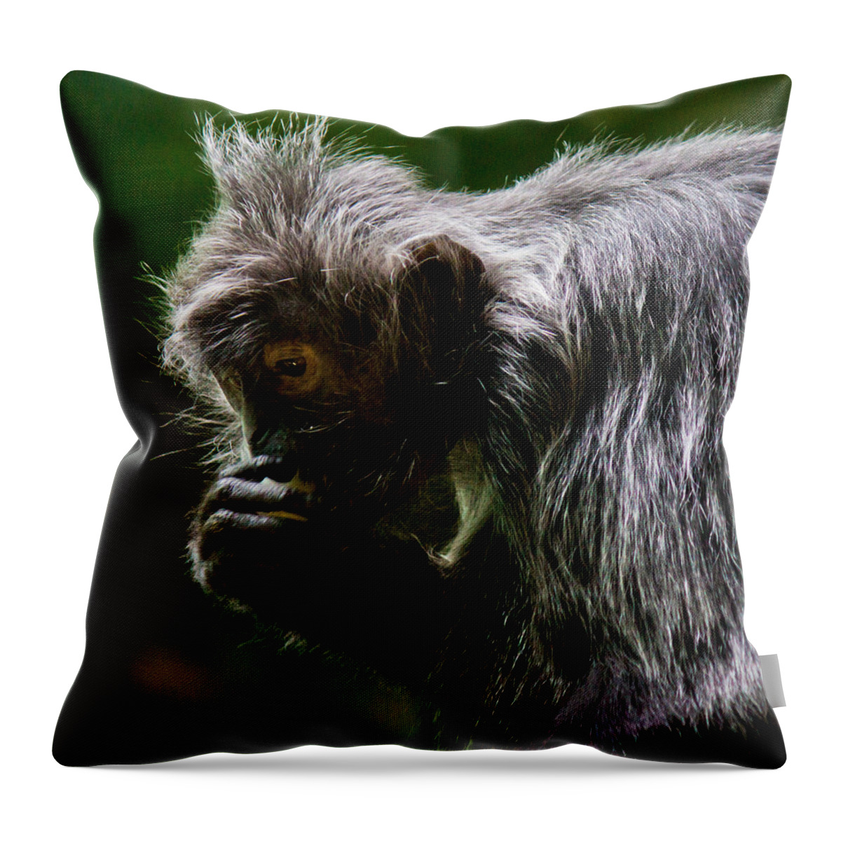 Small Throw Pillow featuring the photograph Small Monkey Eating by Jonny D
