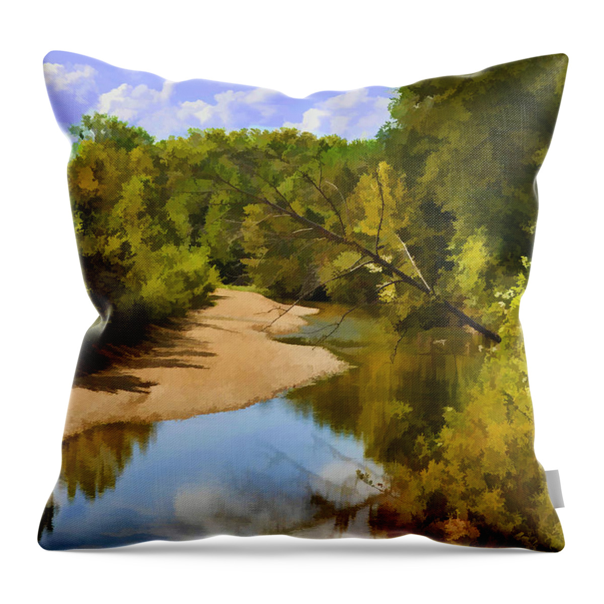 River Throw Pillow featuring the photograph Small river in So. Missouri 3 - Digital Paint by Debbie Portwood