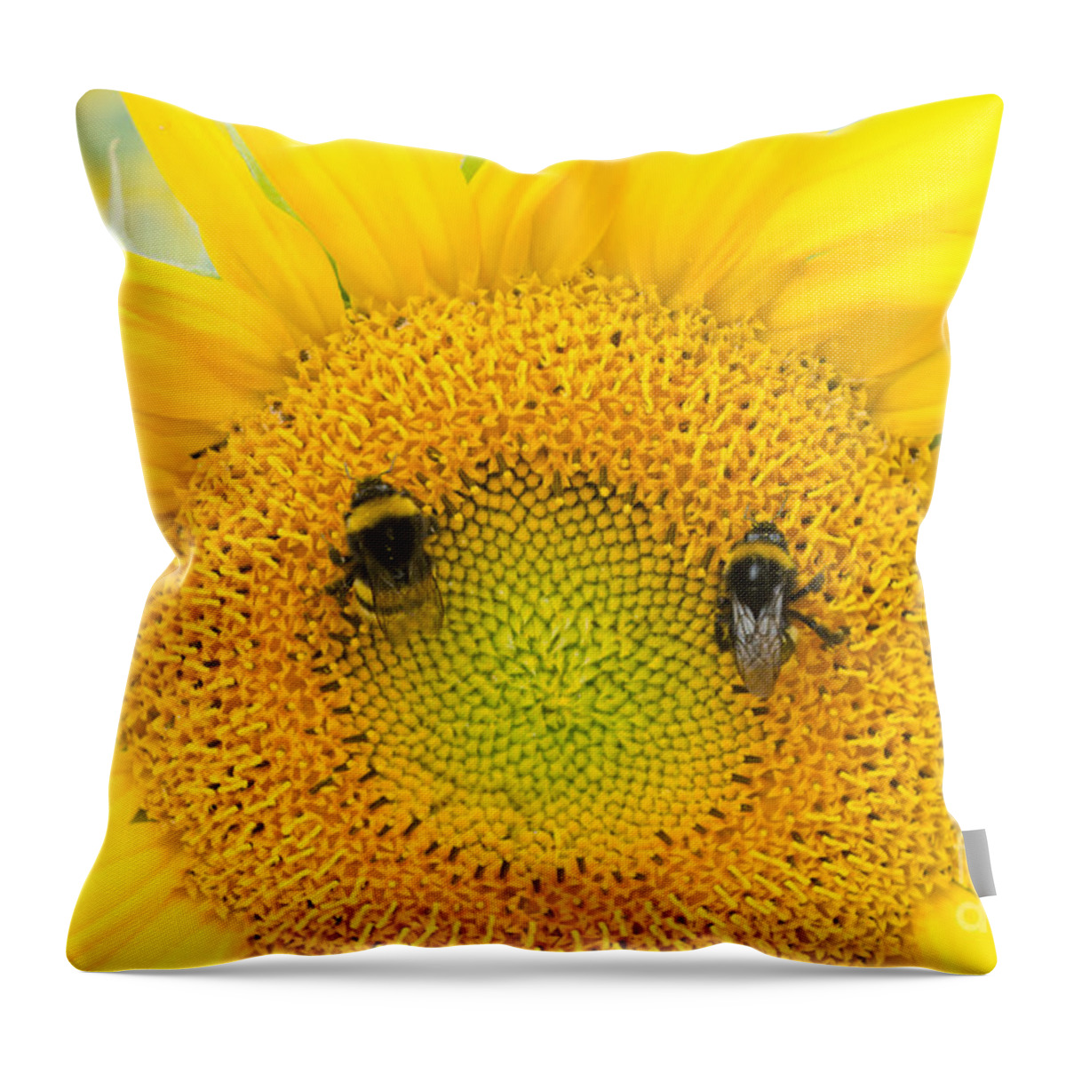Michelle Meenawong Throw Pillow featuring the photograph Smiley by Michelle Meenawong