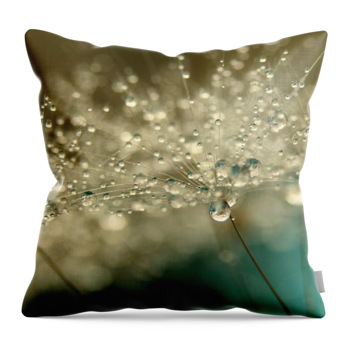 Dandelion Throw Pillow featuring the photograph Smokey Blue by Sharon Johnstone