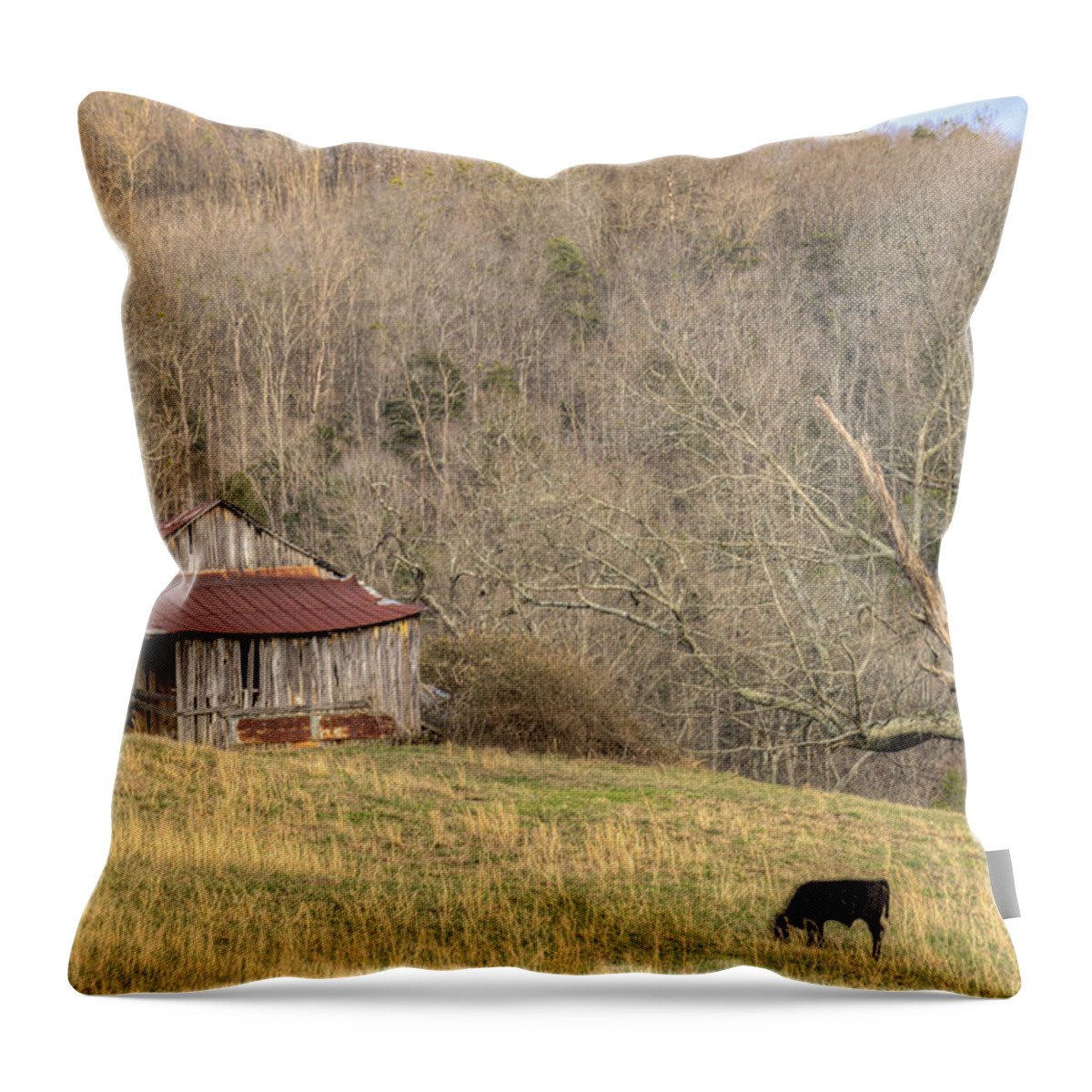 Barn Throw Pillow featuring the photograph Smoky Mountain Barn 10 by Douglas Barnett