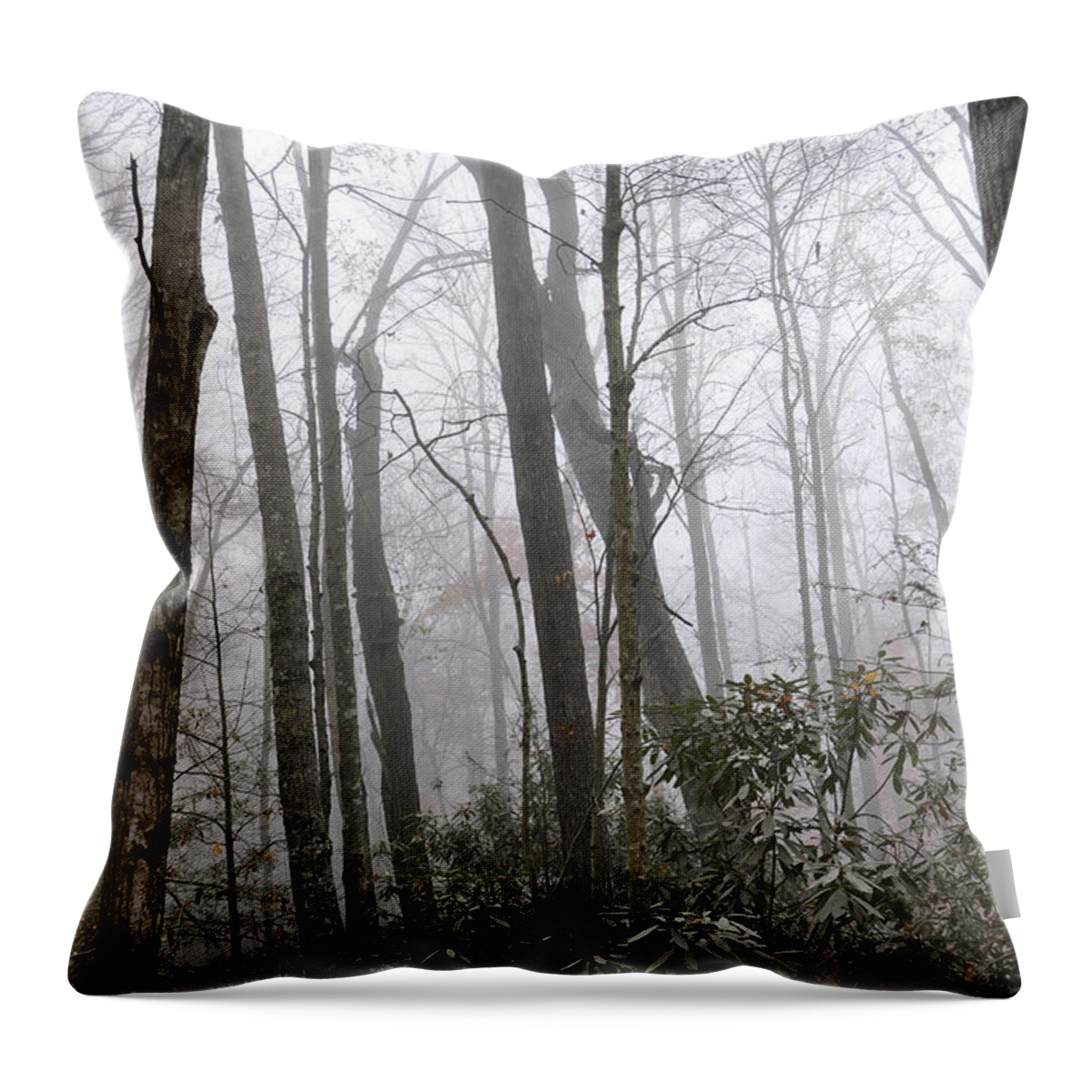 Smoky Mountains Throw Pillow featuring the photograph Smoky Mountain Hardwoods by Craig Burgwardt