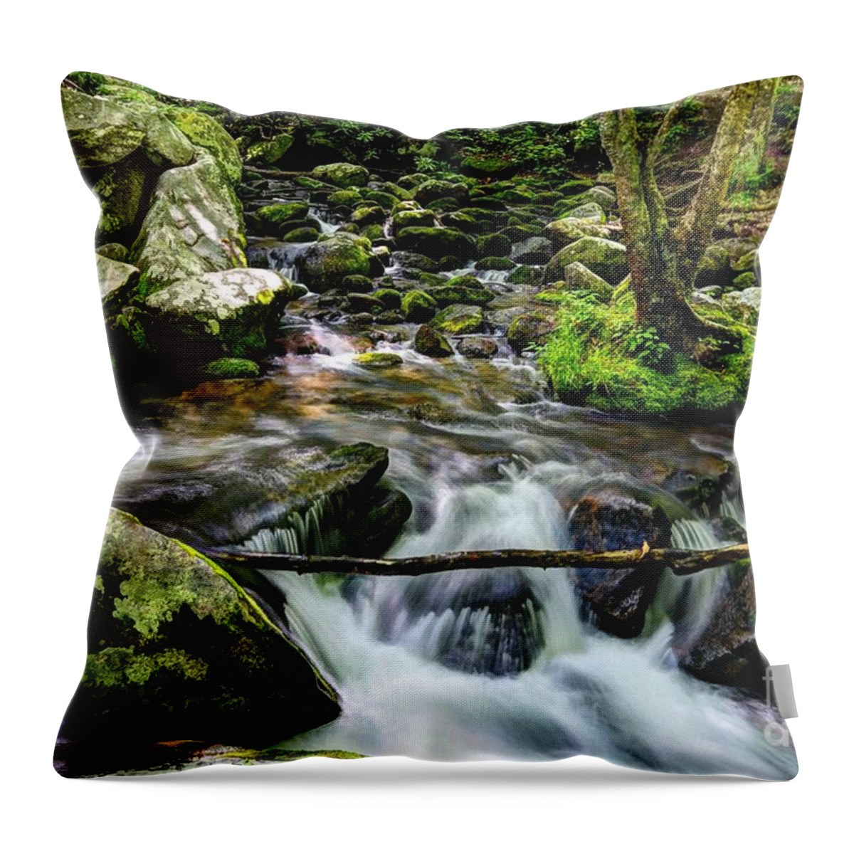 Smoky Mountains Throw Pillow featuring the photograph Smoky Mountain Stream 4 by Mel Steinhauer