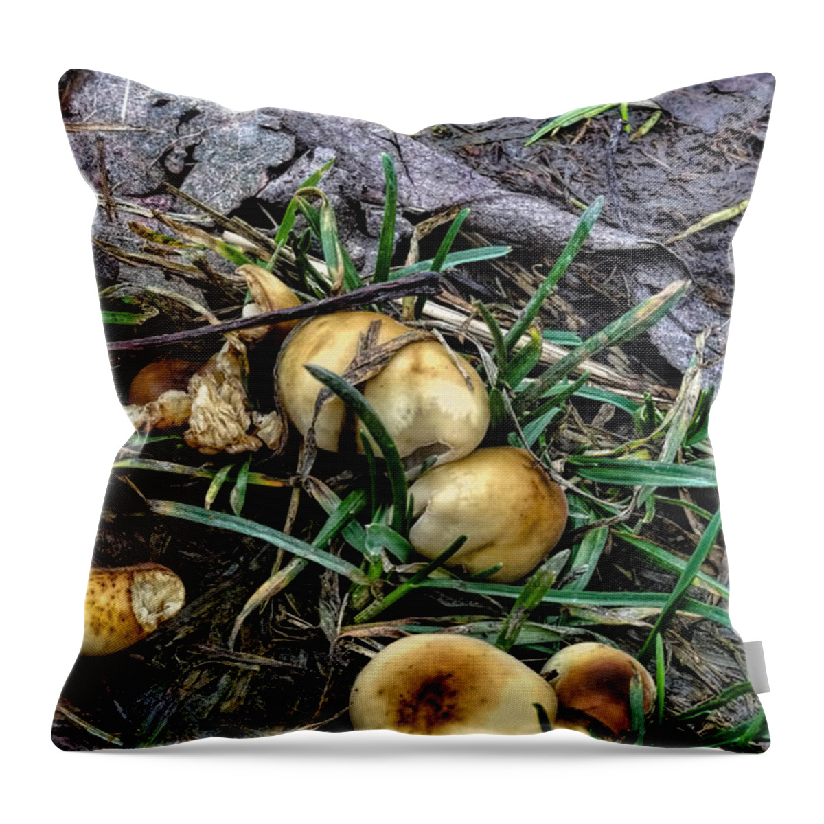 Smooth Fungus Throw Pillow featuring the photograph Smooth Fungus- by Leif Sohlman