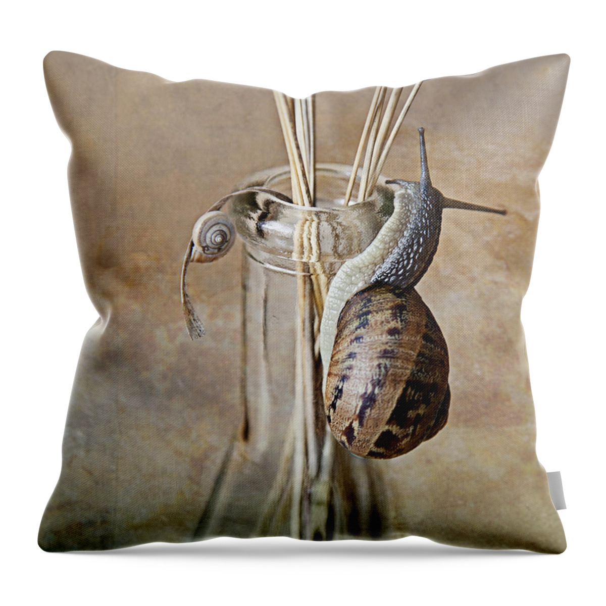 Snail Throw Pillow featuring the photograph Snails by Nailia Schwarz