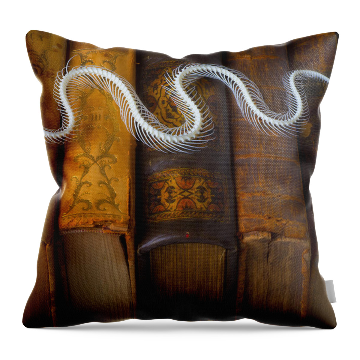 Snake Throw Pillow featuring the photograph Snake and antique books by Garry Gay