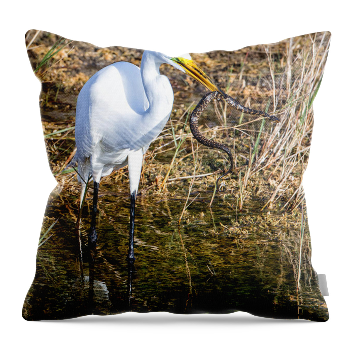 Great Throw Pillow featuring the photograph Snake for Lunch by Ronald Lutz
