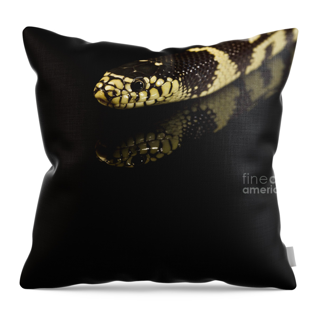 Snake Throw Pillow featuring the photograph Snake by Gunnar Orn Arnason