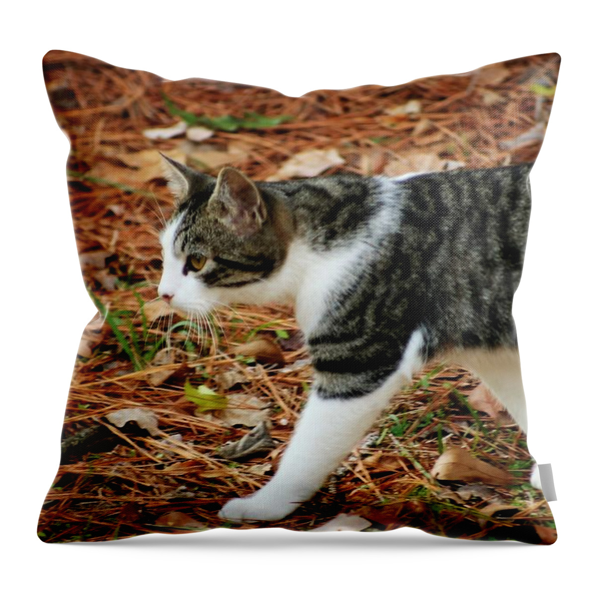 Cat Photographs Throw Pillow featuring the photograph Sneaking Around by Ester McGuire