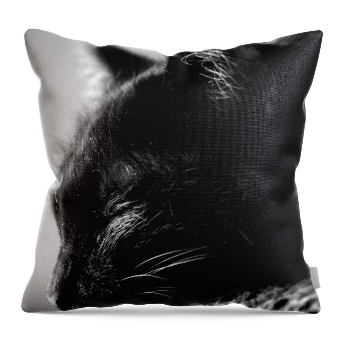 Black Cat Throw Pillow featuring the photograph Snooze by Camille Lopez