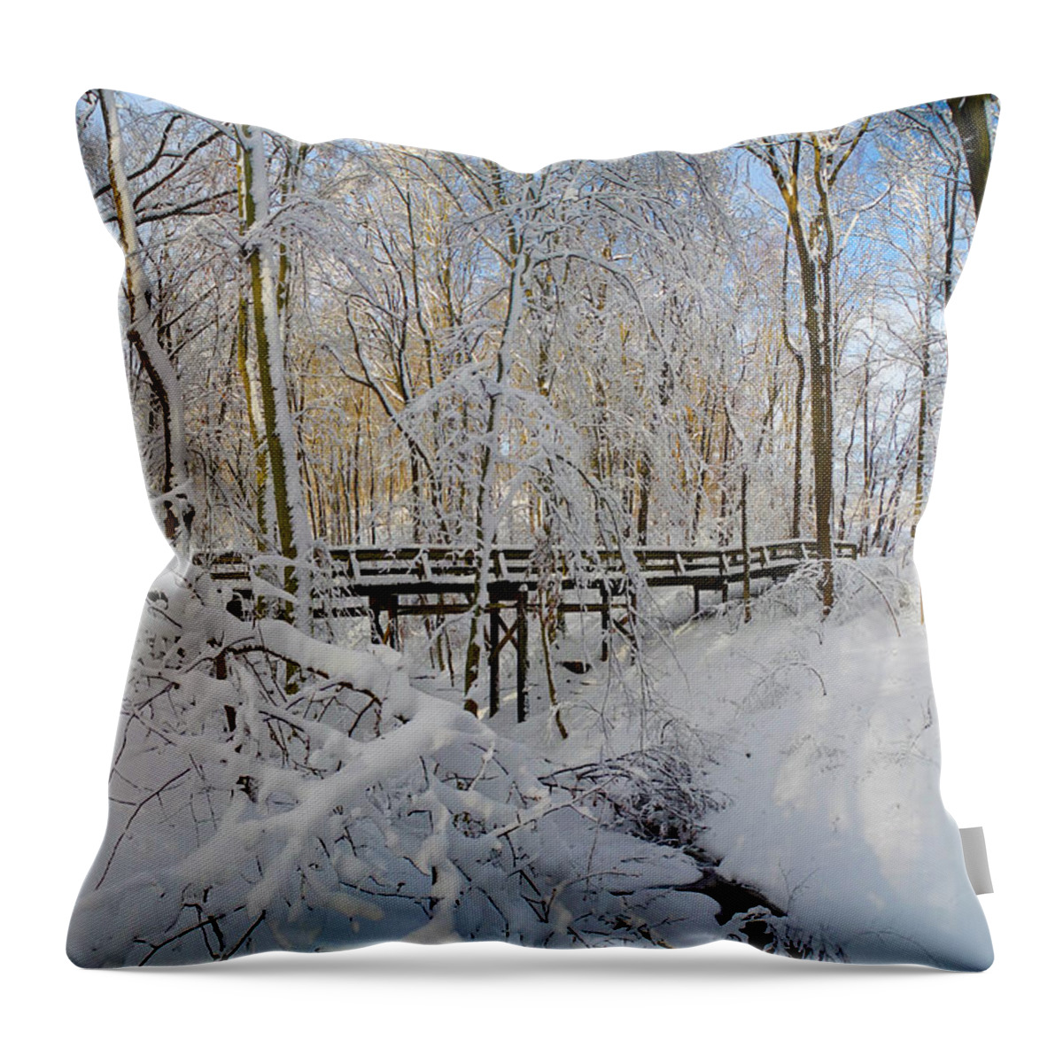 Snow Bridge Throw Pillow featuring the photograph Snow Bridge by Raymond Salani III