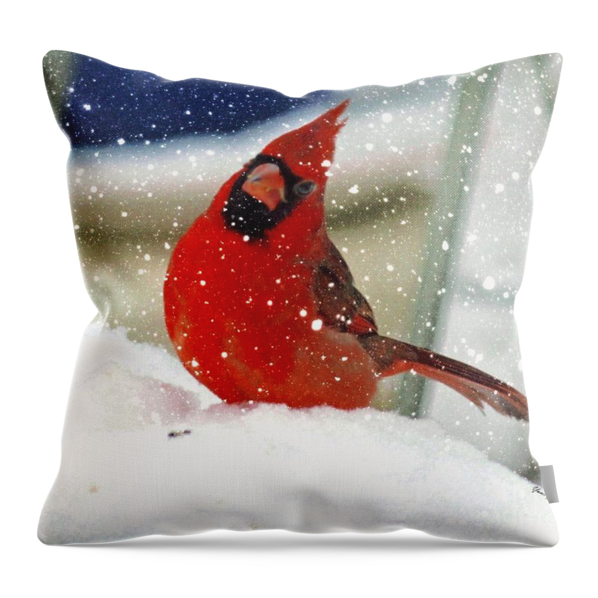 Snow Throw Pillow featuring the photograph Snow Cardinal by Yumi Johnson