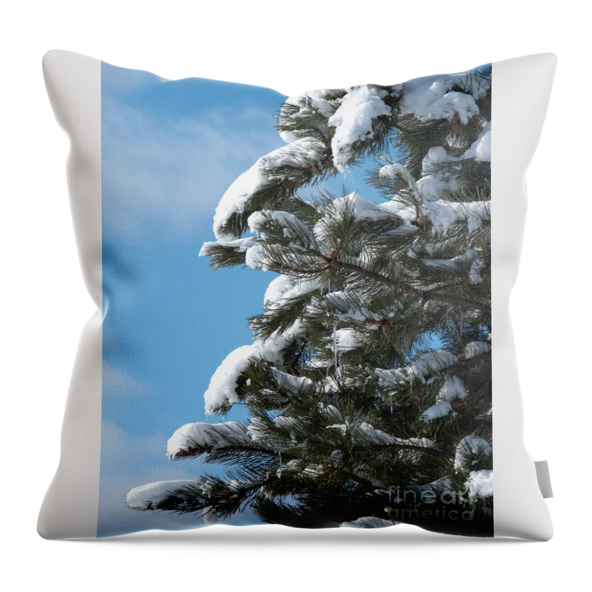 Snow Throw Pillow featuring the photograph Snow-Clad Pine by Ann Horn