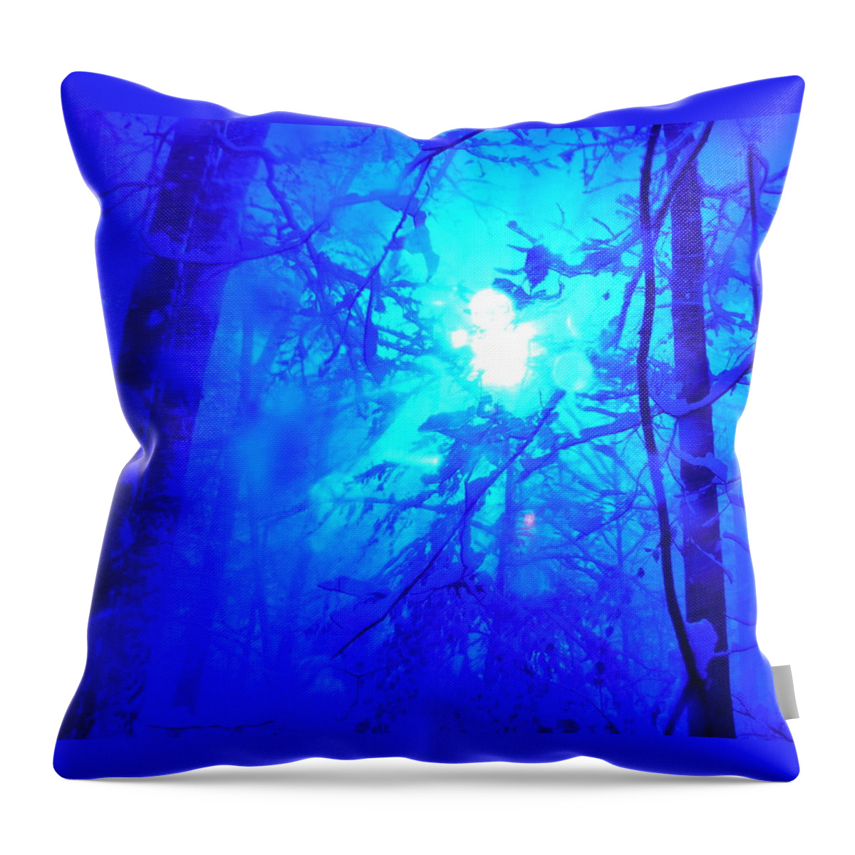 Snow Colors Series Throw Pillow featuring the photograph Snow Colors Series 11 by Paddy Shaffer