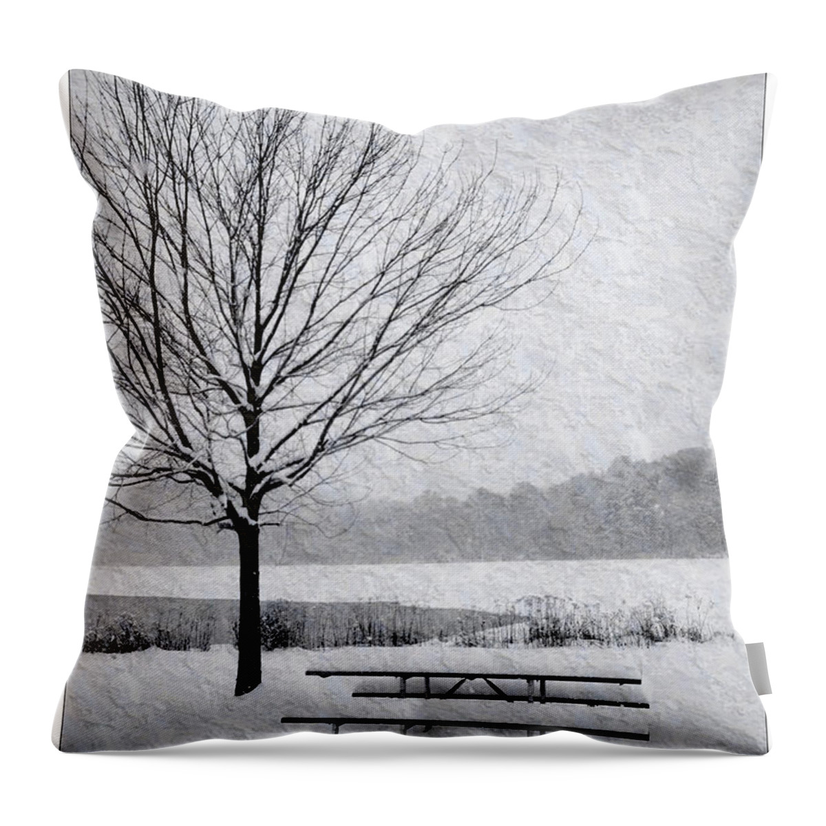 Landscape Throw Pillow featuring the photograph Snow Covered Picnic Table by Crystal Wightman