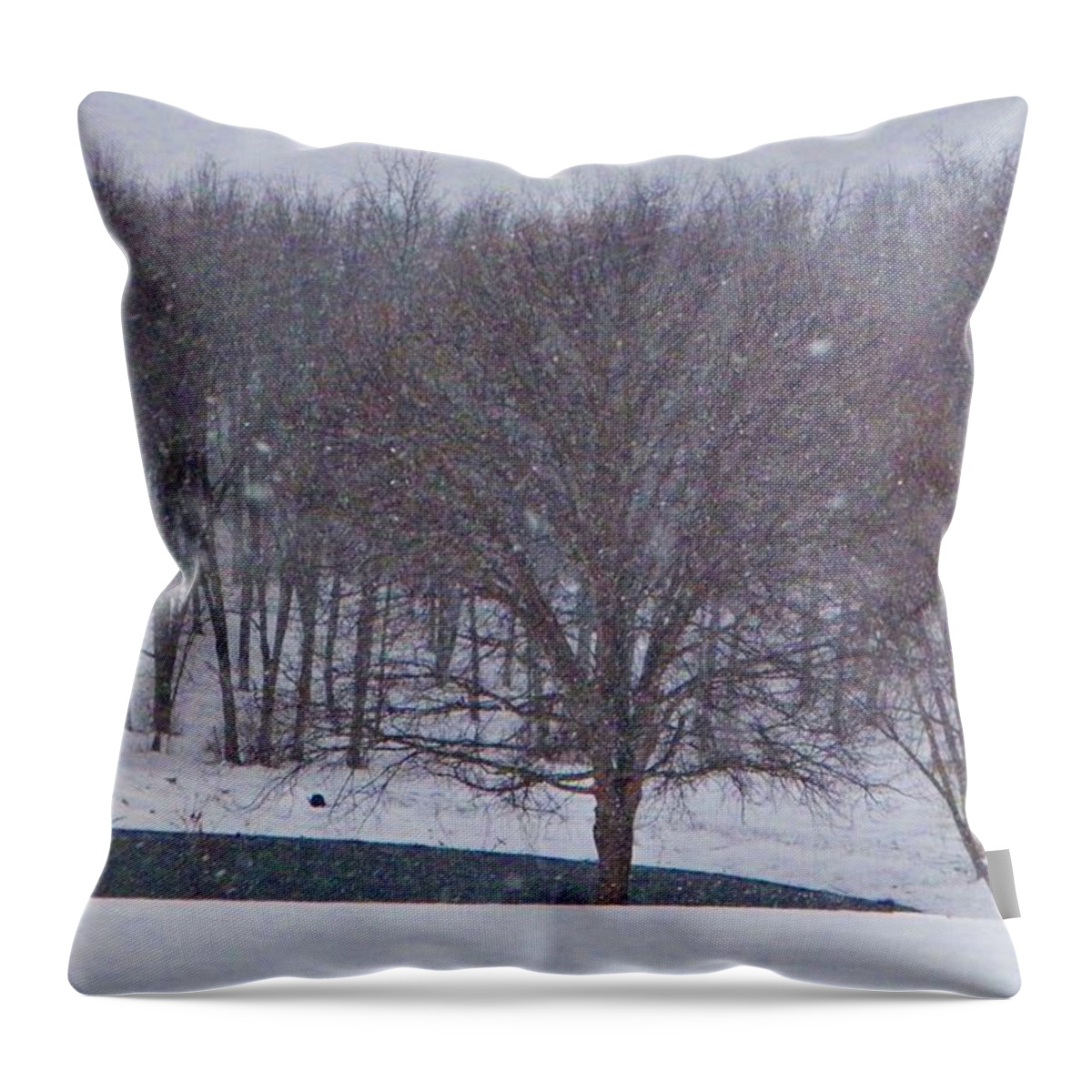 Snow Throw Pillow featuring the photograph Snow Day by Chris Berry
