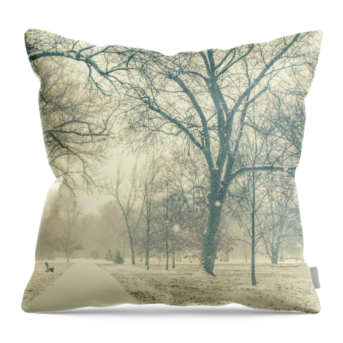 Snow Throw Pillow featuring the photograph Snow Day by Pam Holdsworth