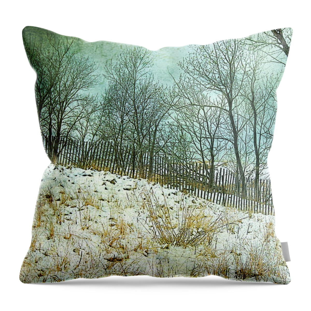Dune Throw Pillow featuring the photograph Snow Fence Beach Dune by Kathi Mirto